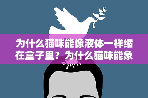 为什么猫咪能像液体一样缩在盒子里？为什么猫咪能象液体一样缩在小盒子里