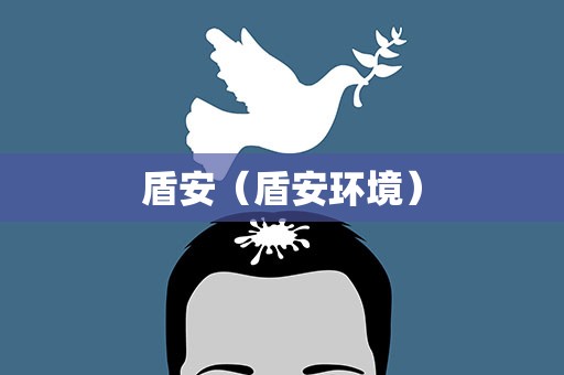 盾安（盾安环境）