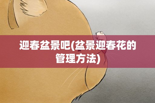 迎春盆景吧(盆景迎春花的管理方法)