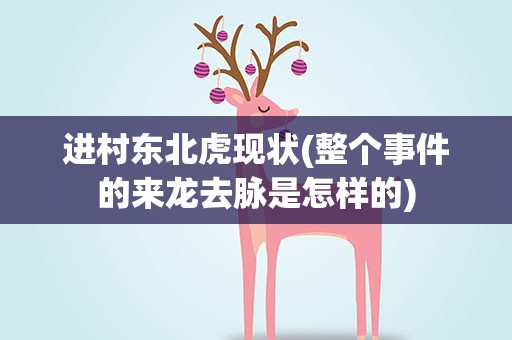 进村东北虎现状(整个事件的来龙去脉是怎样的)