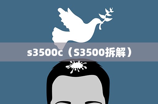 s3500c（S3500拆解）