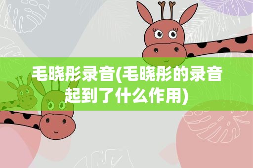 毛晓彤录音(毛晓彤的录音起到了什么作用)