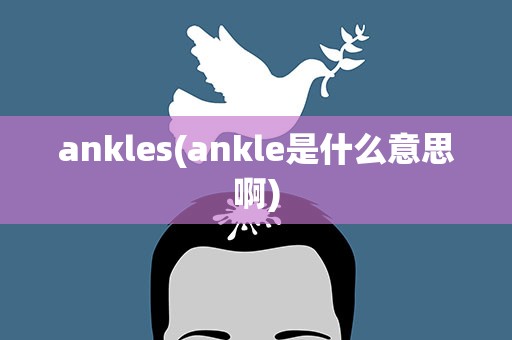 ankles(ankle是什么意思啊)