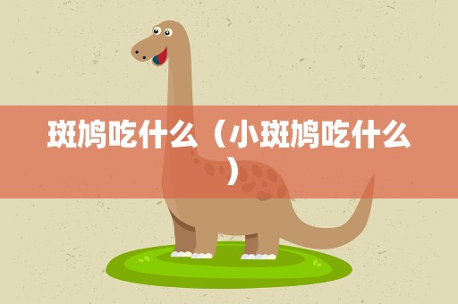 斑鸠吃什么（小斑鸠吃什么）