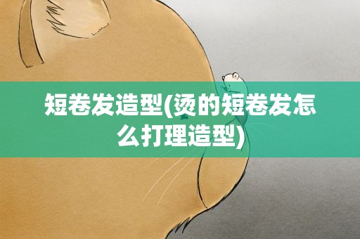 短卷发造型(烫的短卷发怎么打理造型)