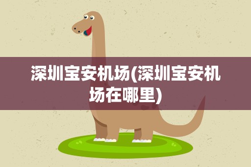 深圳宝安机场(深圳宝安机场在哪里)