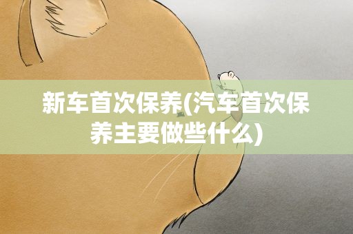 新车首次保养(汽车首次保养主要做些什么)