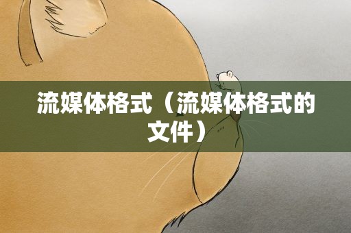 流媒体格式（流媒体格式的文件）