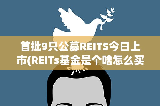 首批9只公募REITS今日上市(REITs基金是个啥怎么买)