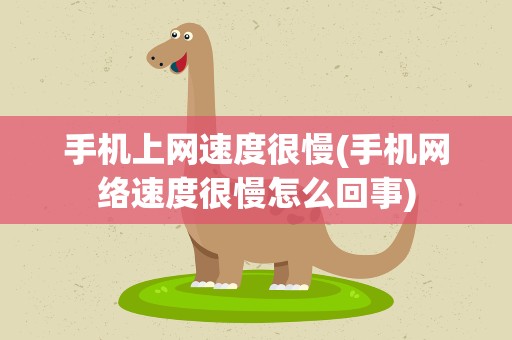 手机上网速度很慢(手机网络速度很慢怎么回事)