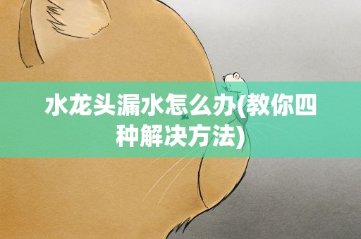水龙头漏水怎么办(教你四种解决方法)
