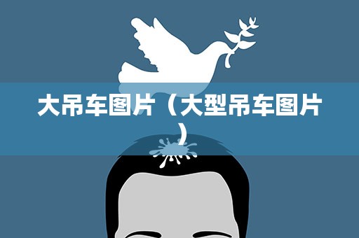 大吊车图片（大型吊车图片）