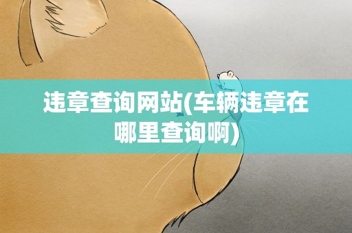 违章查询网站(车辆违章在哪里查询啊)