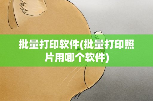 批量打印软件(批量打印照片用哪个软件)