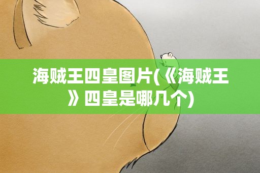 海贼王四皇图片(《海贼王》四皇是哪几个)