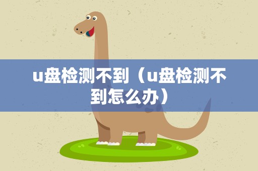 u盘检测不到（u盘检测不到怎么办）