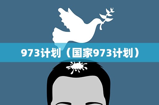 973计划（国家973计划）