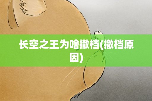 长空之王为啥撤档(撤档原因)