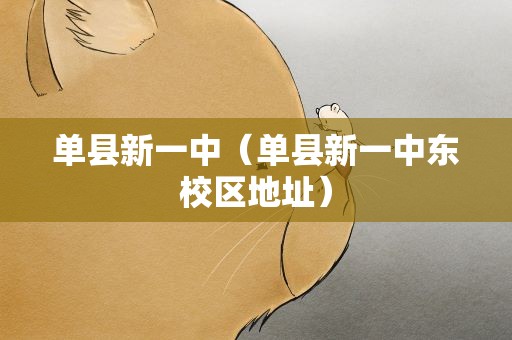 单县新一中（单县新一中东校区地址）