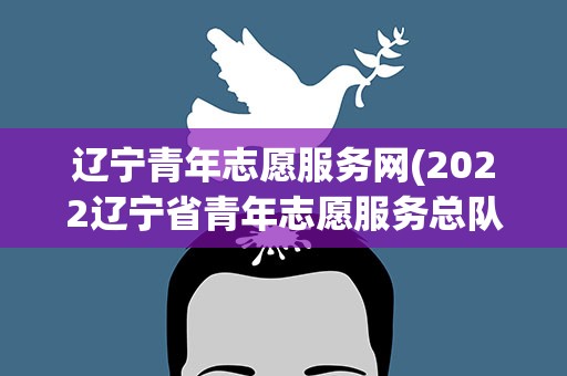 辽宁青年志愿服务网(2022辽宁省青年志愿服务总队志愿者招募)