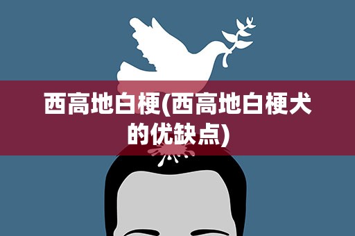 西高地白梗(西高地白梗犬的优缺点)