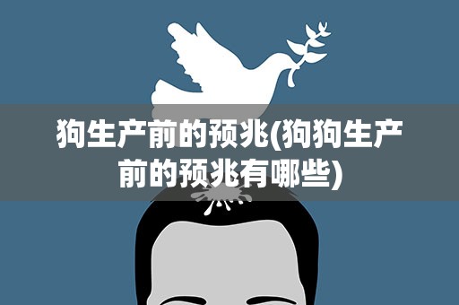 狗生产前的预兆(狗狗生产前的预兆有哪些)
