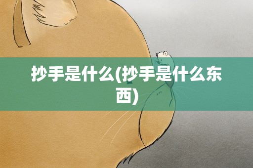 抄手是什么(抄手是什么东西)
