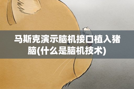 马斯克演示脑机接口植入猪脑(什么是脑机技术)