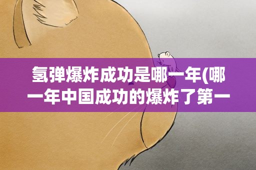 氢弹爆炸成功是哪一年(哪一年中国成功的爆炸了第一颗氢弹)