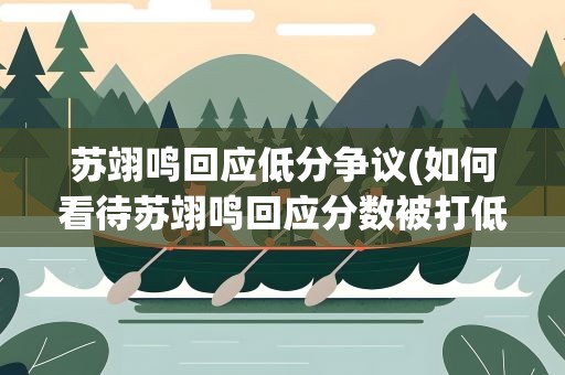 苏翊鸣回应低分争议(如何看待苏翊鸣回应分数被打低)