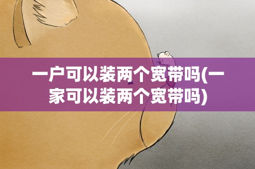 一户可以装两个宽带吗(一家可以装两个宽带吗)