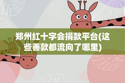 郑州红十字会捐款平台(这些善款都流向了哪里)