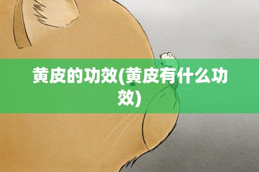 黄皮的功效(黄皮有什么功效)