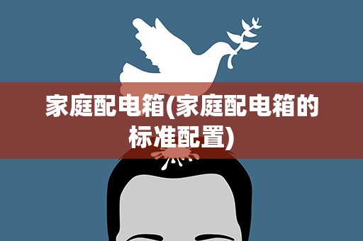 家庭配电箱(家庭配电箱的标准配置)