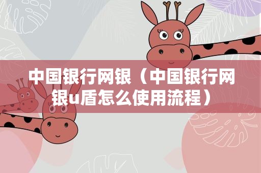中国银行网银（中国银行网银u盾怎么使用流程）