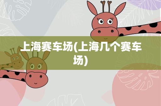 上海赛车场(上海几个赛车场)