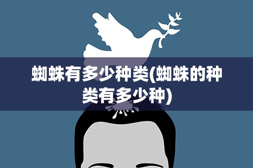 蜘蛛有多少种类(蜘蛛的种类有多少种)