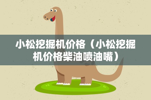 小松挖掘机价格（小松挖掘机价格柴油喷油嘴）