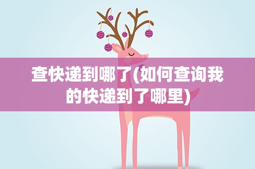 查快递到哪了(如何查询我的快递到了哪里)