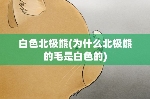 白色北极熊(为什么北极熊的毛是白色的)
