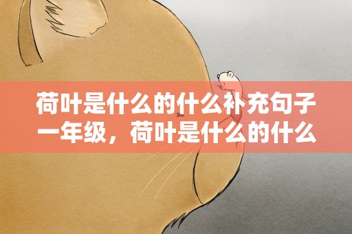 荷叶是什么的什么补充句子一年级，荷叶是什么的什么补充句子