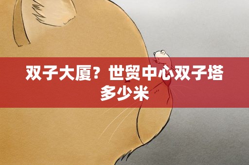 双子大厦？世贸中心双子塔多少米