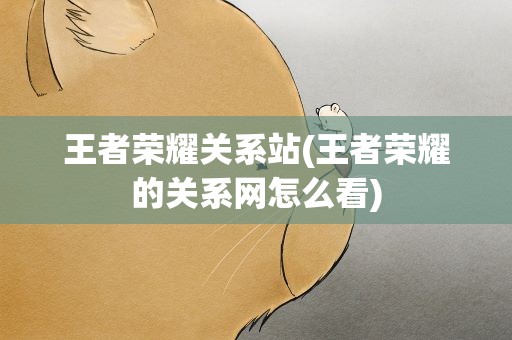 王者荣耀关系站(王者荣耀的关系网怎么看)