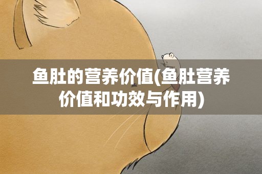 鱼肚的营养价值(鱼肚营养价值和功效与作用)