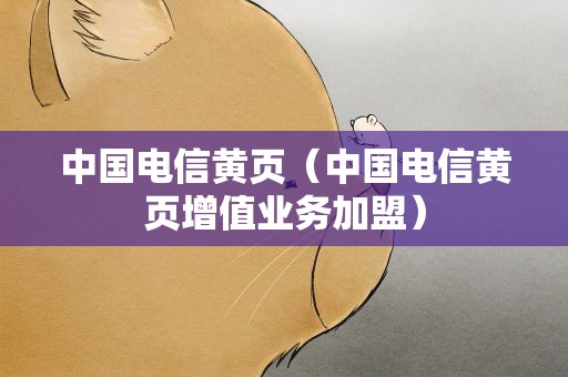 中国电信黄页（中国电信黄页增值业务加盟）