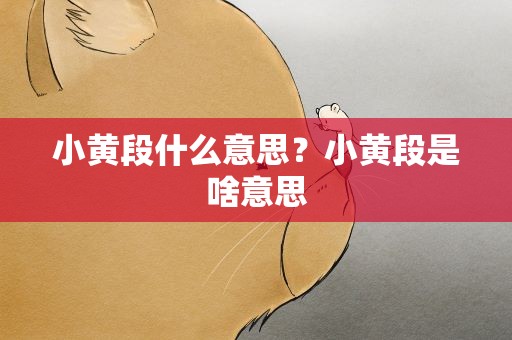 小黄段什么意思？小黄段是啥意思
