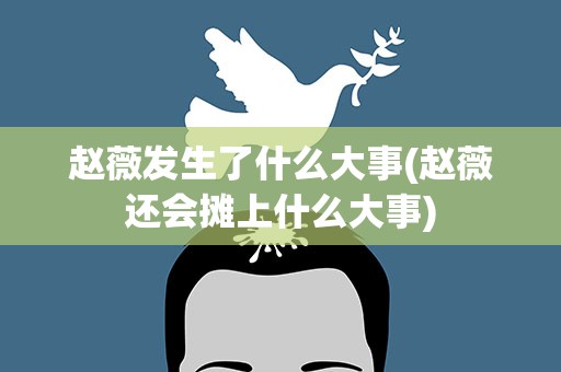 赵薇发生了什么大事(赵薇还会摊上什么大事)