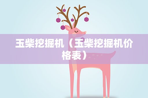 玉柴挖掘机（玉柴挖掘机价格表）