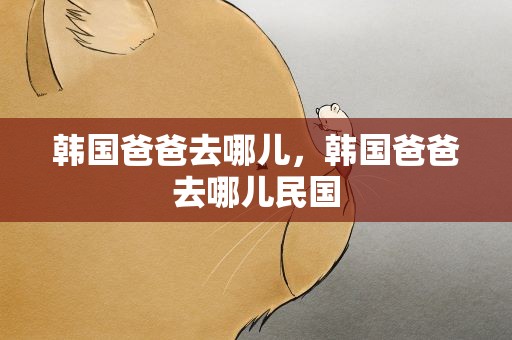 韩国爸爸去哪儿，韩国爸爸去哪儿民国