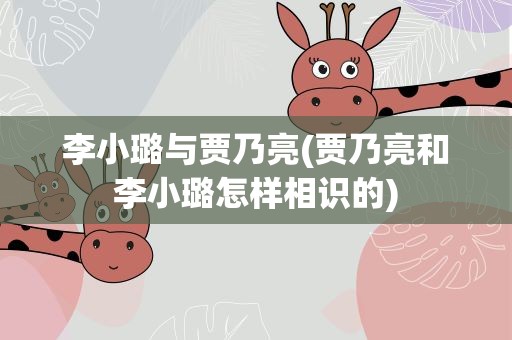 李小璐与贾乃亮(贾乃亮和李小璐怎样相识的)